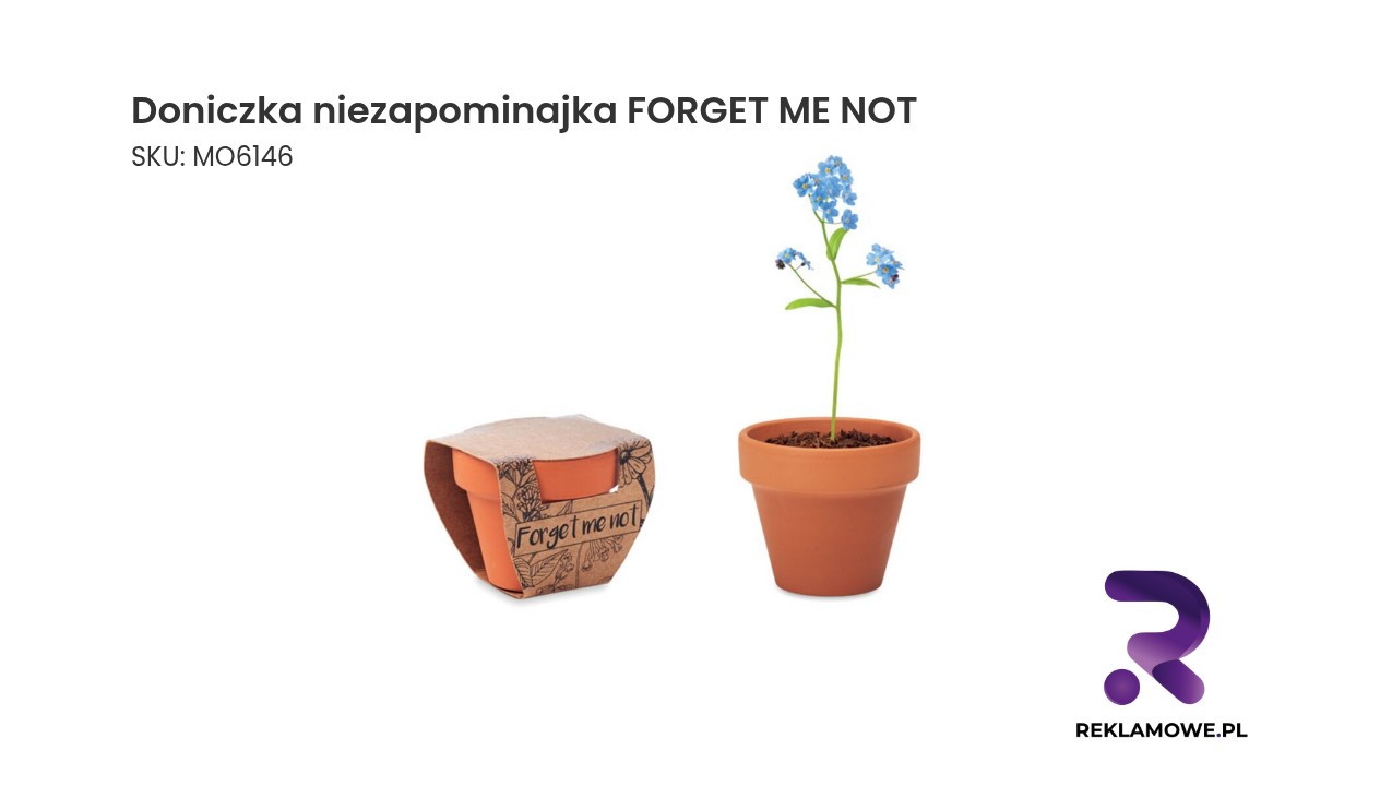 Doniczka z motywem niezapominajki