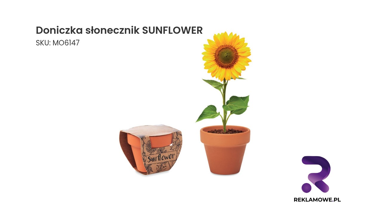 Doniczka z motywem słonecznika SUNFLOWER