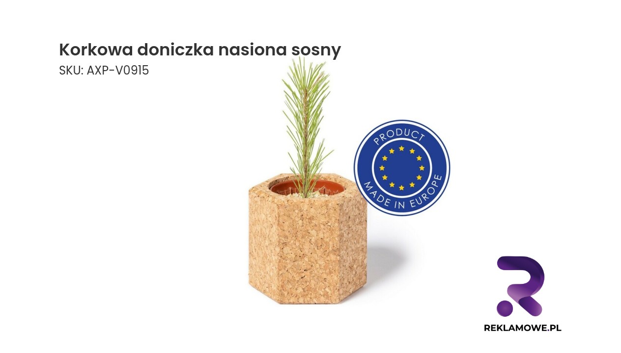 Korkowa doniczka z nasionami sosny na naturalnym tle