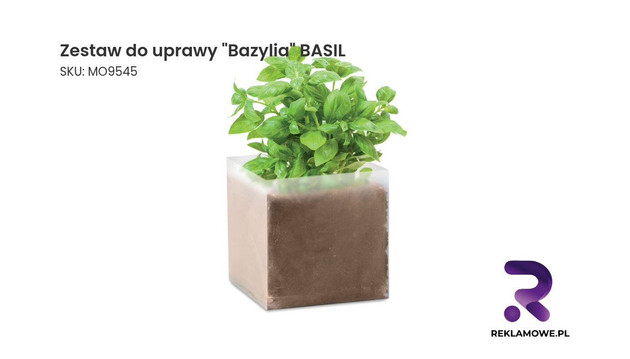 Zestaw do uprawy bazylii w domu
