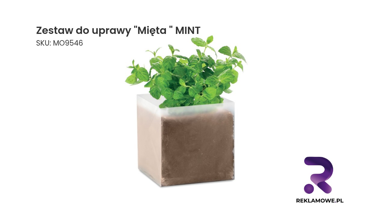 Zestaw do uprawy Mięta