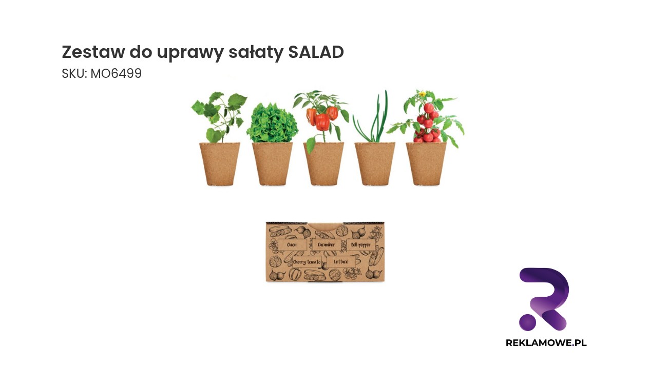 Zestaw do uprawy salaty SALAD