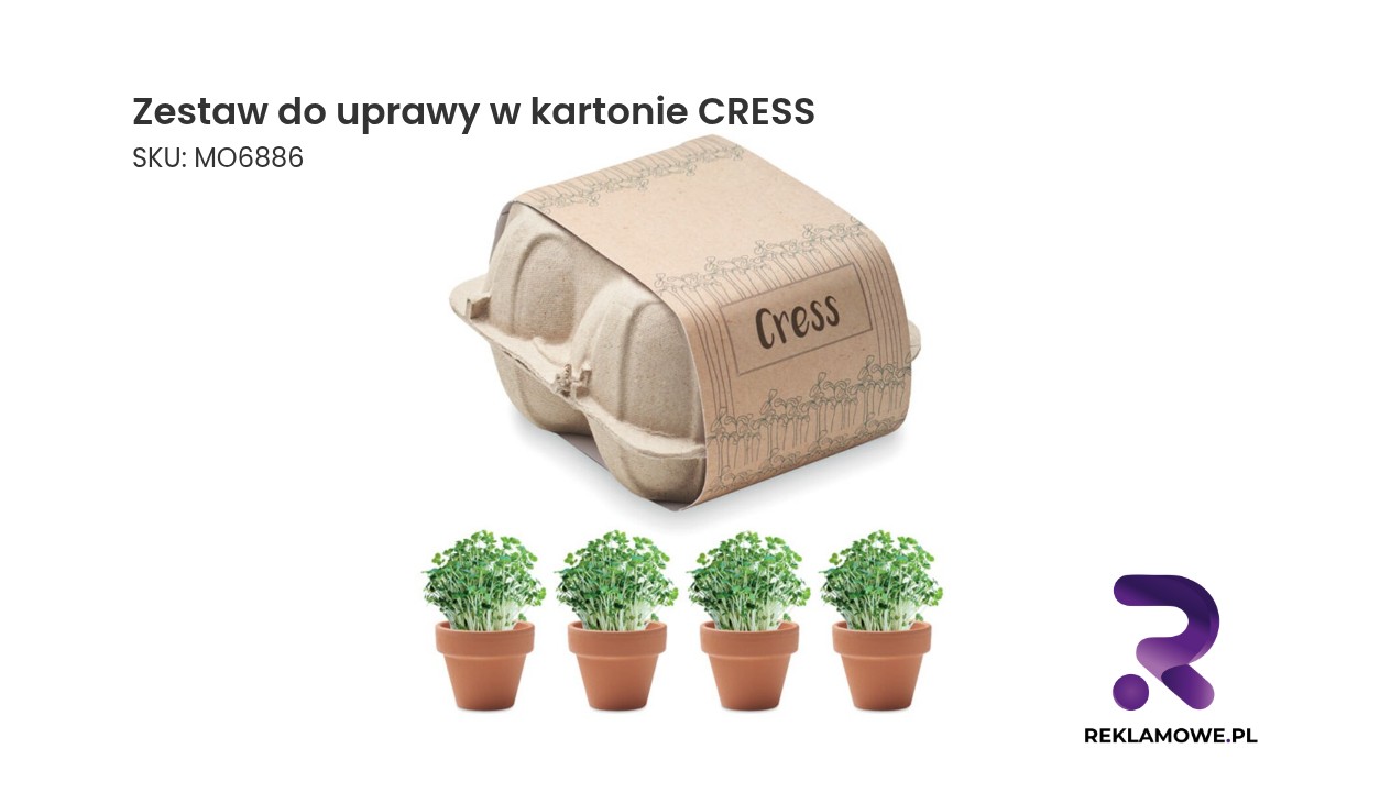 Zestaw do uprawy rzeżuchy w ekologicznym kartonie