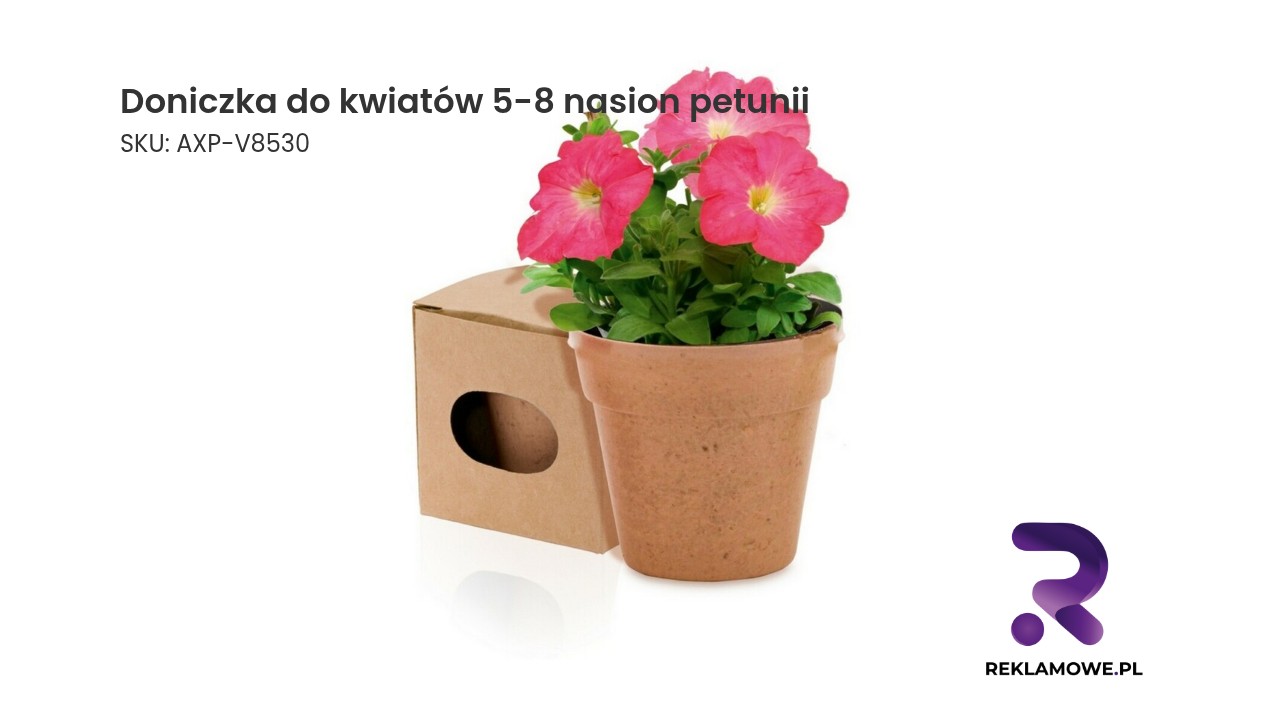 Doniczka do kwiatów, 5-8 nasion petunii i ziemia Doniczka z 5-8 nasionami petunii