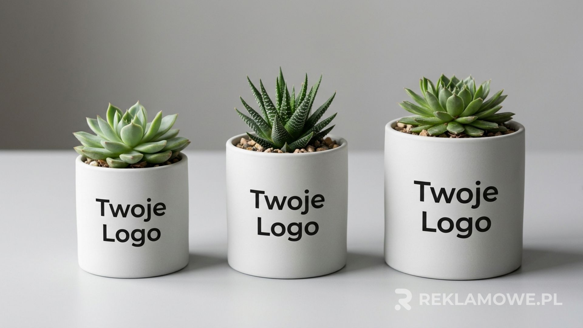 Doniczki reklamowe dla małych i dużych firm – poradnik wyboru