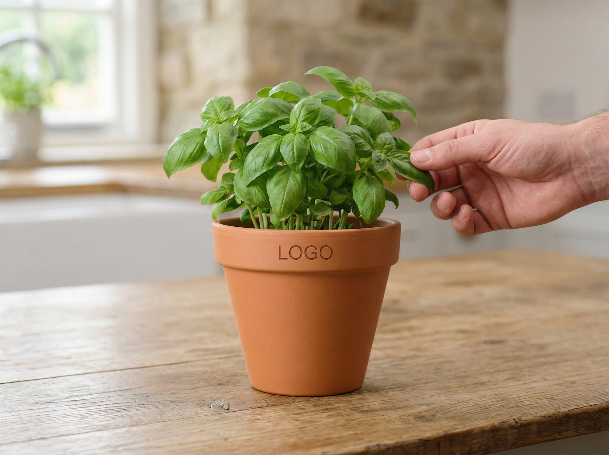 Doniczki reklamowe w Opolu