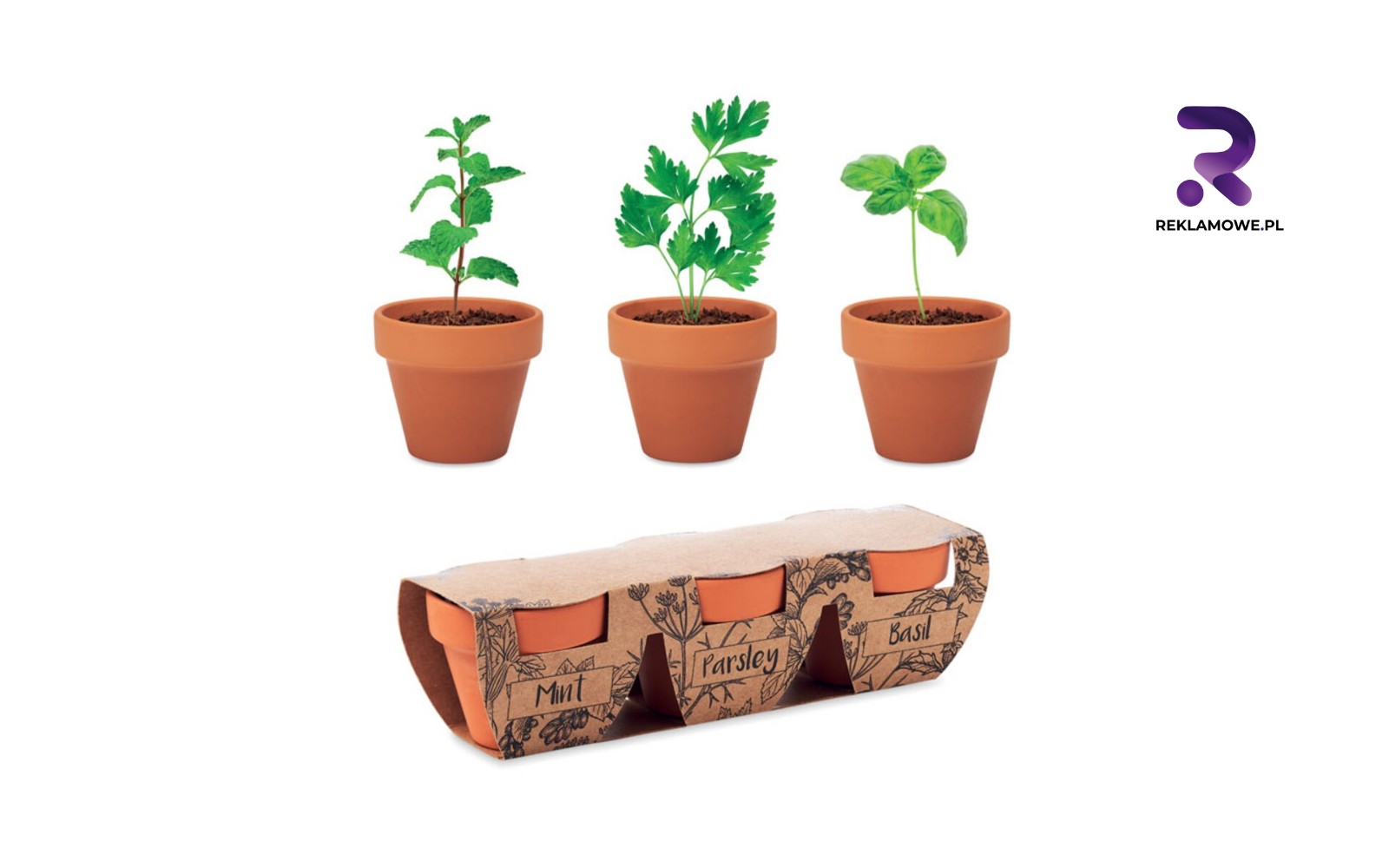 Doniczki reklamowe w Częstochowie doniczki reklamowe w czestochowie 2 1