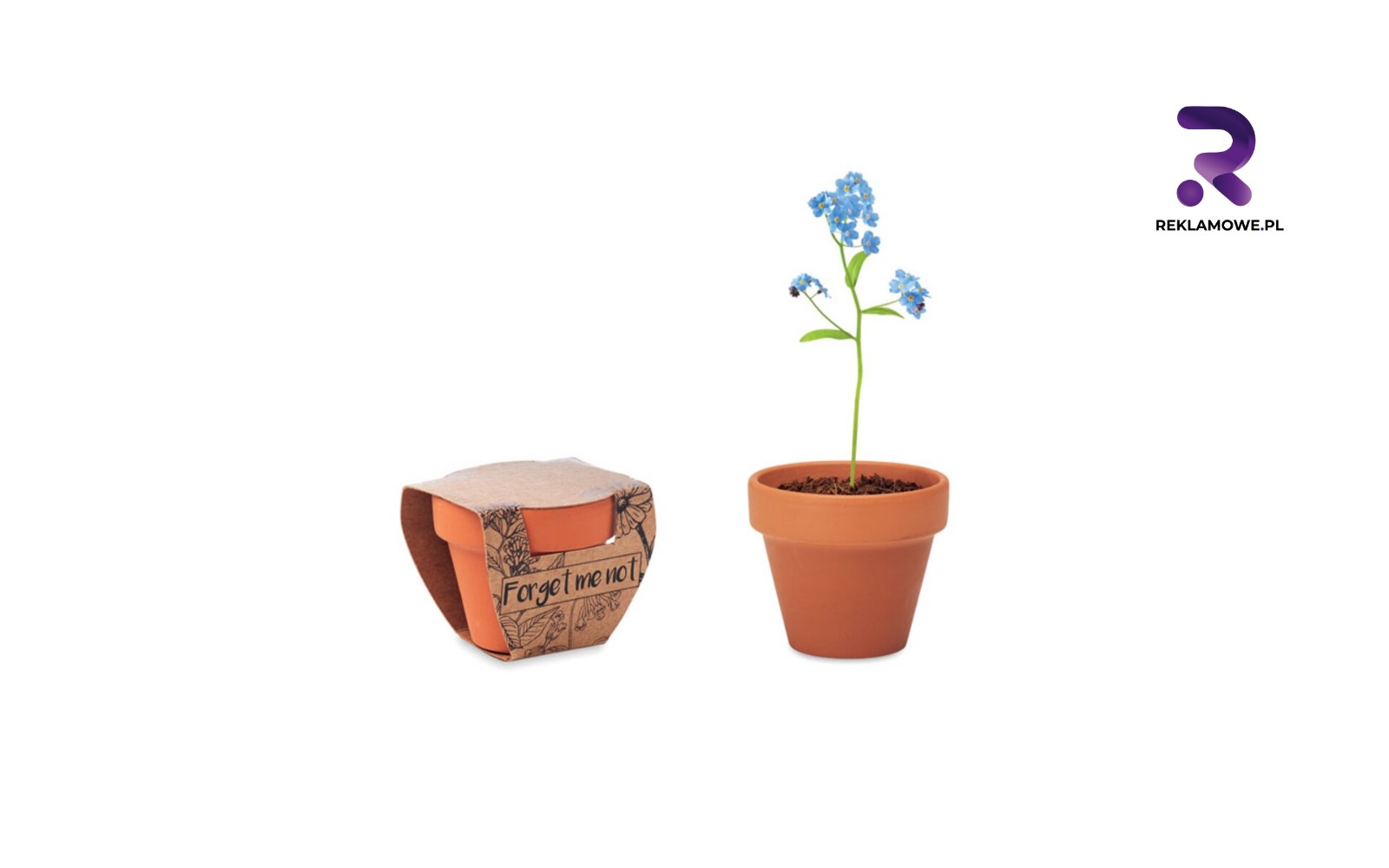 Doniczki reklamowe w Częstochowie doniczki reklamowe w czestochowie 4 1