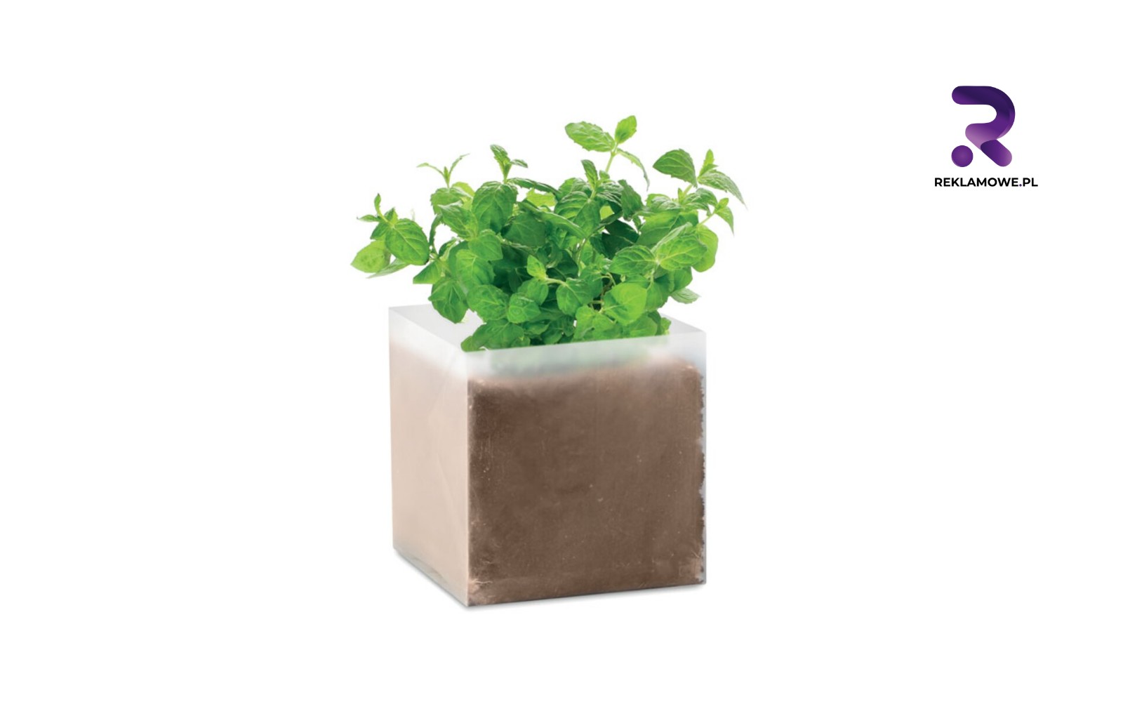 Doniczki reklamowe w Częstochowie doniczki reklamowe w czestochowie 5 1