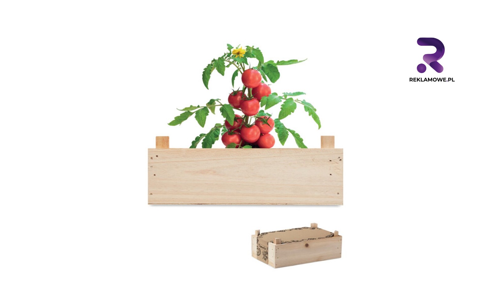 Doniczki reklamowe w Częstochowie doniczki reklamowe w czestochowie 6 1