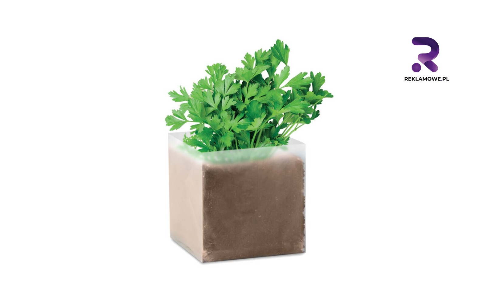 Doniczki reklamowe w Gdańsku doniczki reklamowe w gdansku 3 1