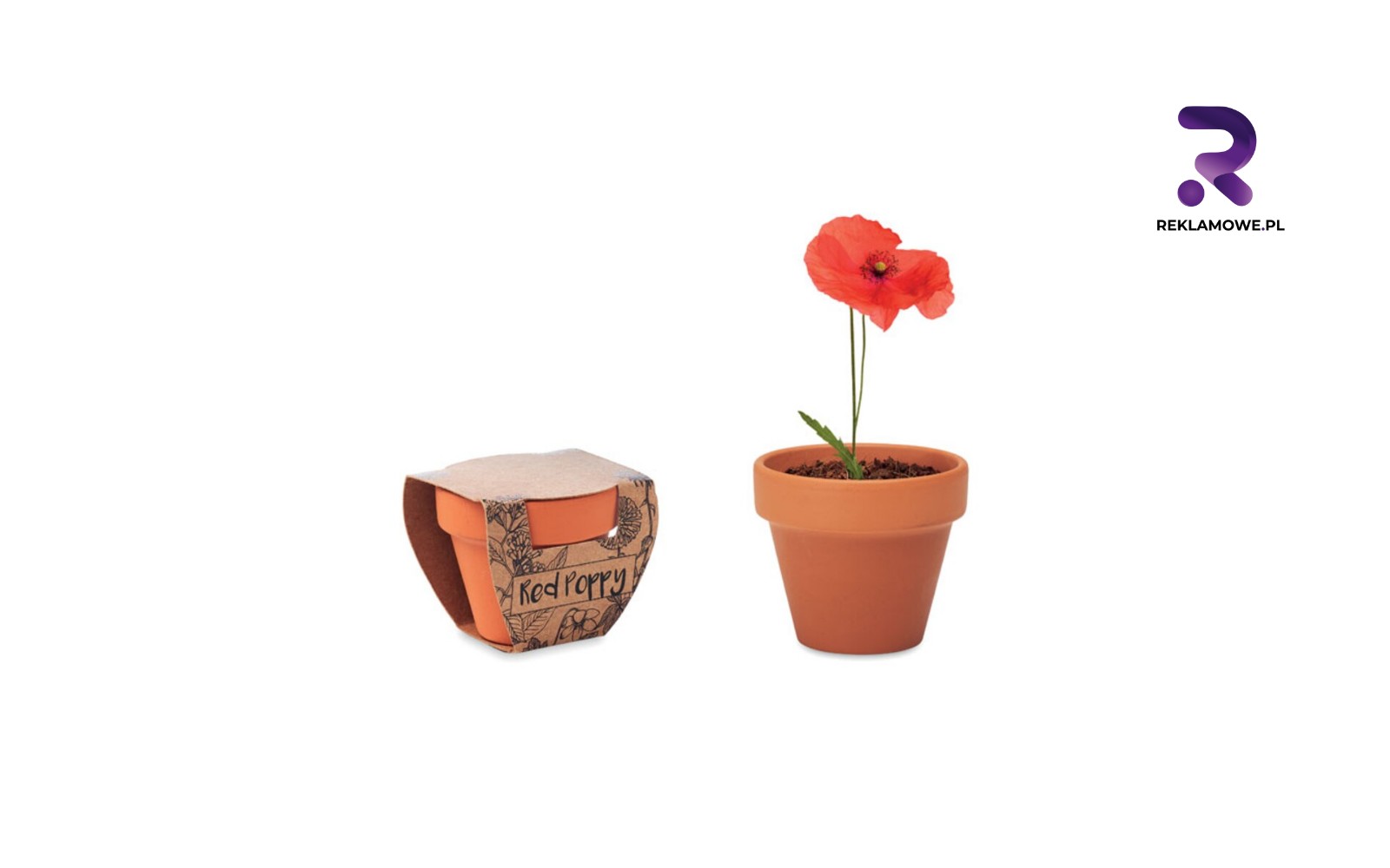 Doniczki reklamowe w Gdańsku doniczki reklamowe w gdansku 4 1