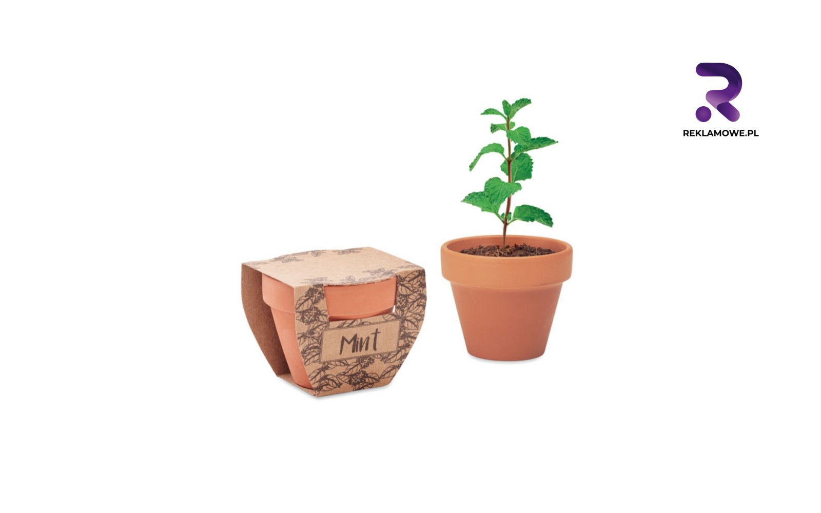 Doniczki reklamowe w Gdyni doniczki reklamowe w gdyni 4 1