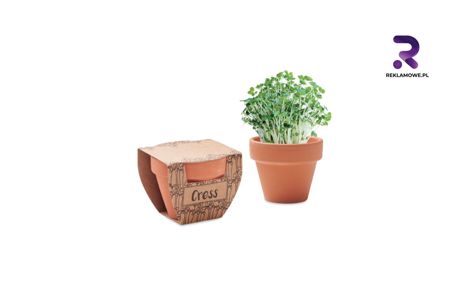 Doniczki reklamowe w Łodzi doniczki reklamowe w lodzi 1 1