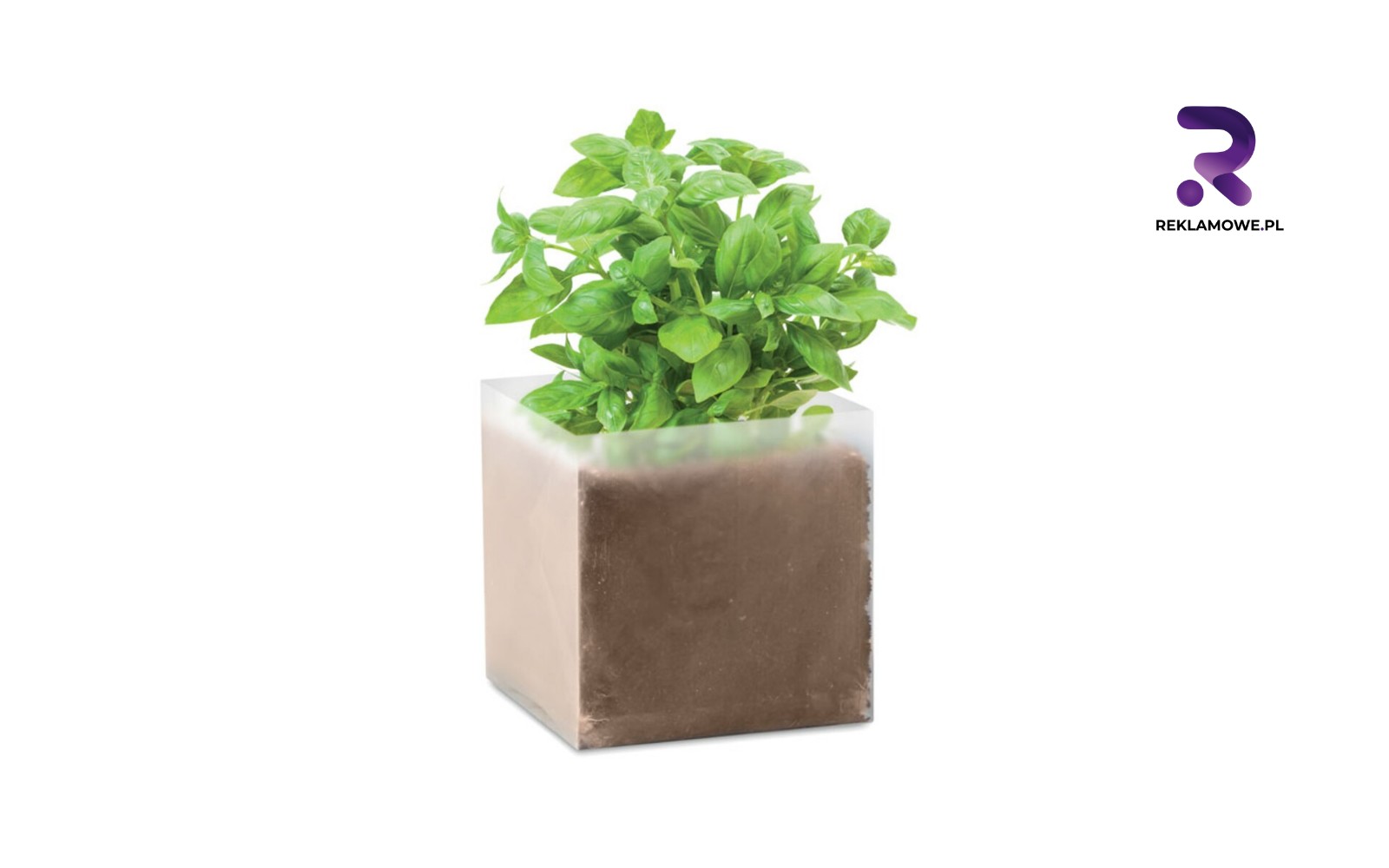 Doniczki reklamowe w Łodzi doniczki reklamowe w lodzi 5 1