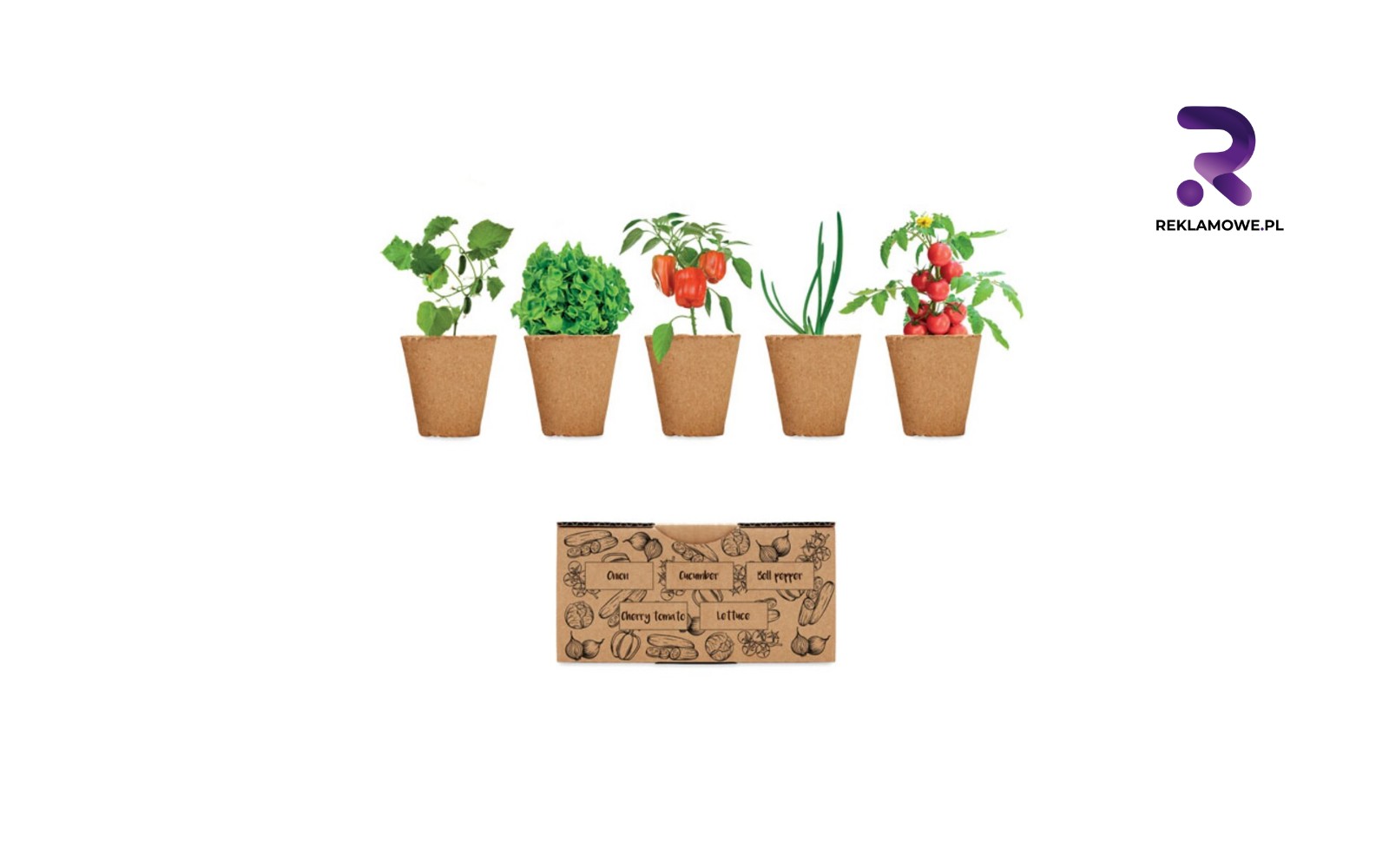 Doniczki reklamowe w Olsztynie doniczki reklamowe w olsztynie 4 1