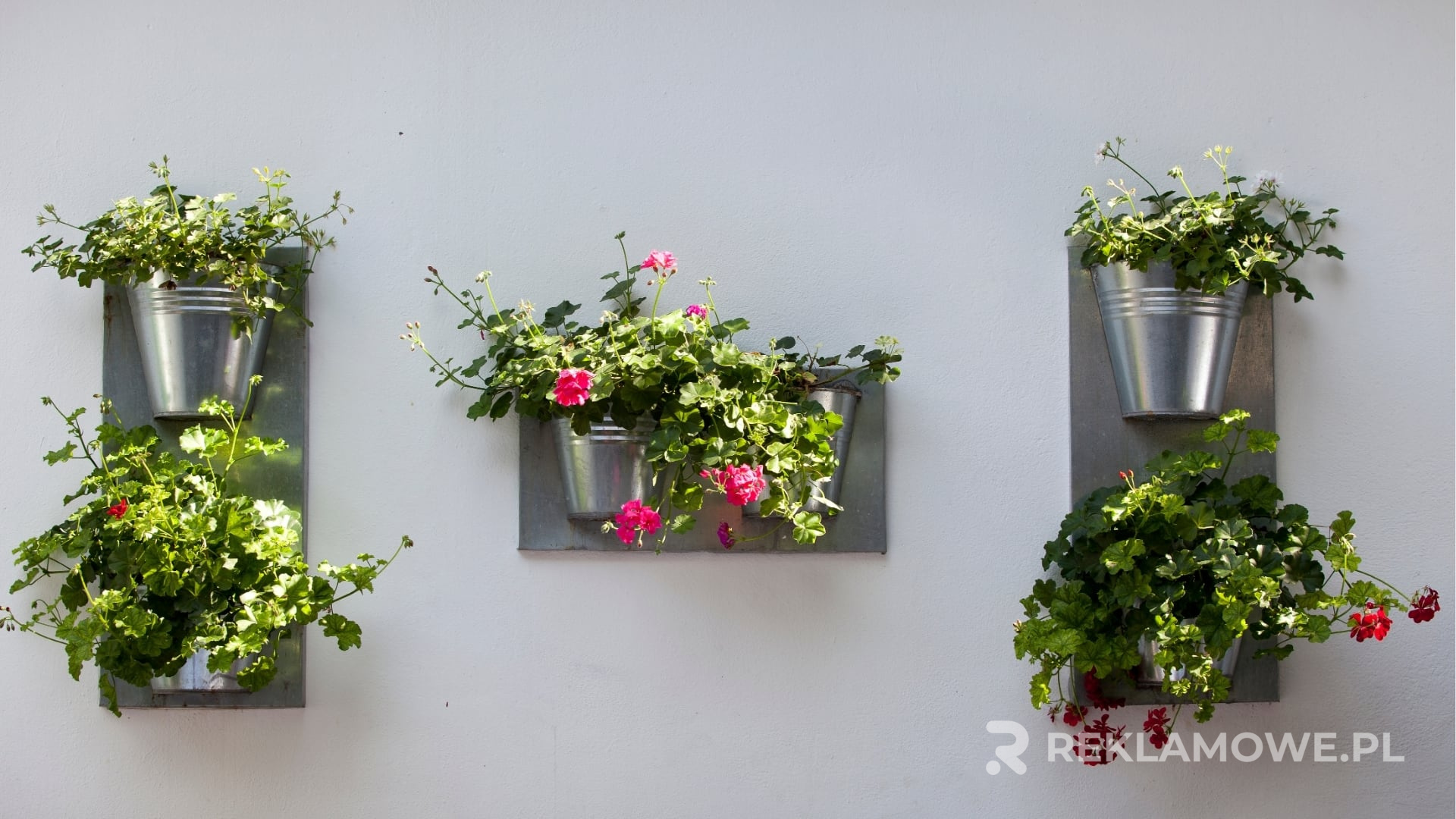 Doniczki reklamowe na tle biurowym