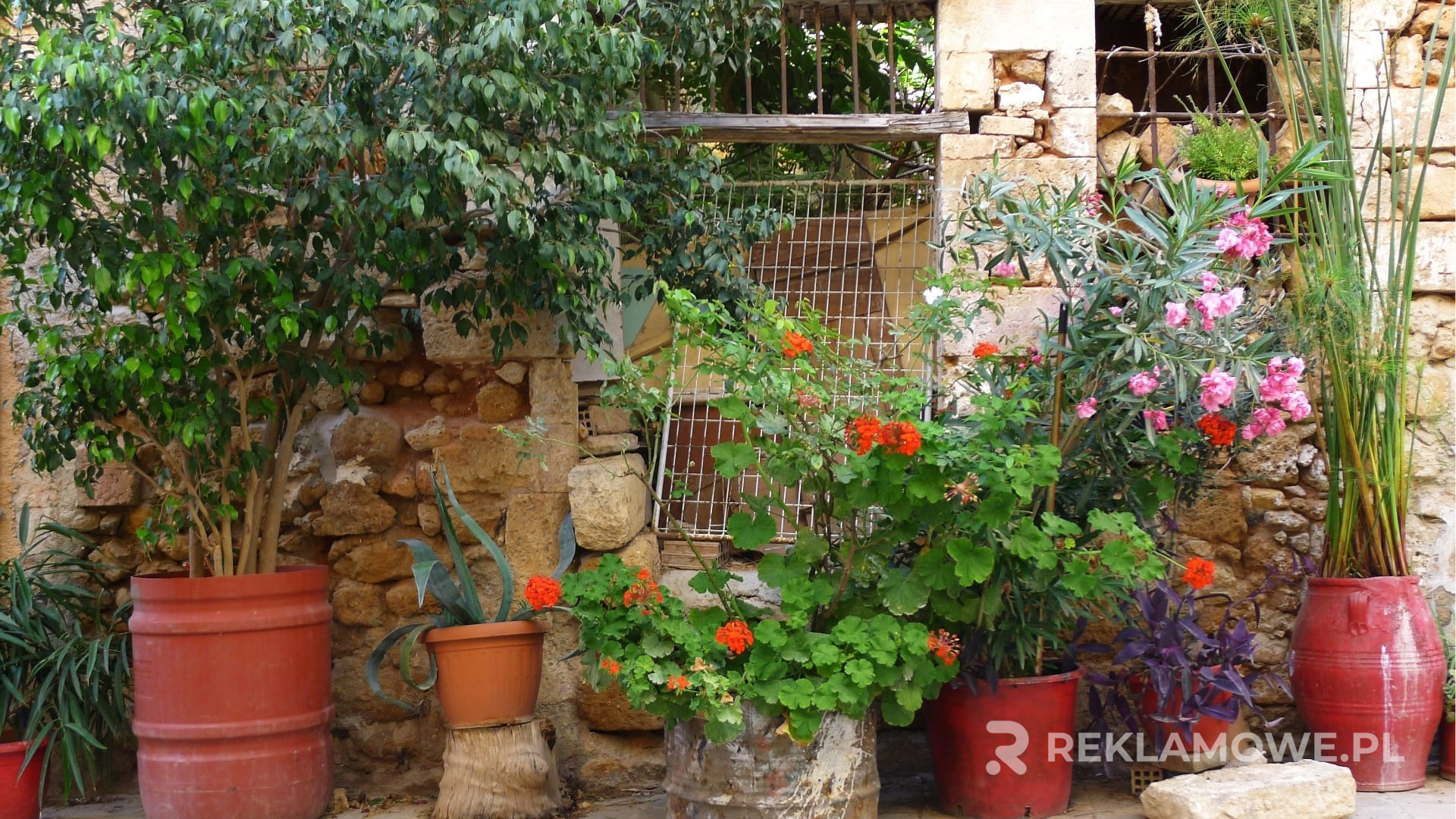 doniczki reklamowe w przestrzeni biurowej