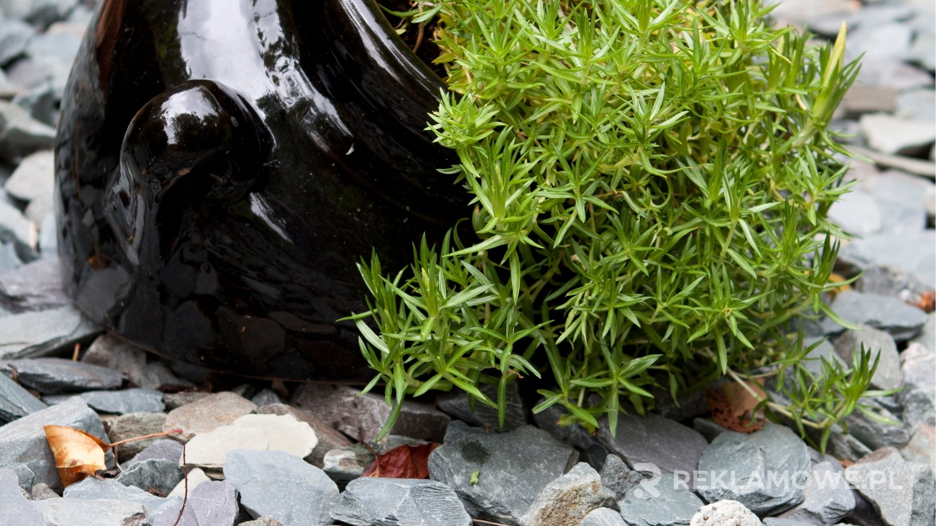 Ekologiczne donice reklamowe jako nowy trend w reklamie