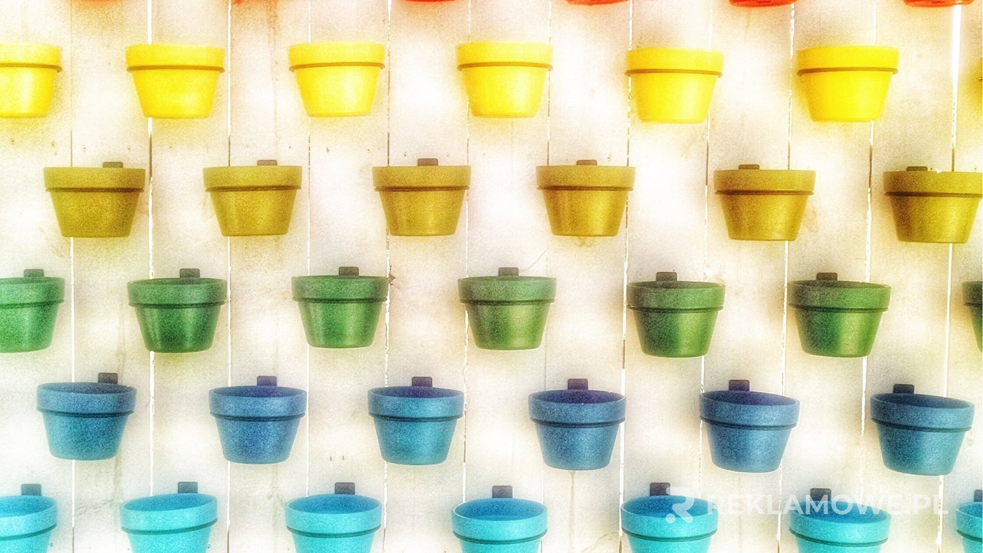 Ekologiczne doniczki reklamowe na tle naturalnym