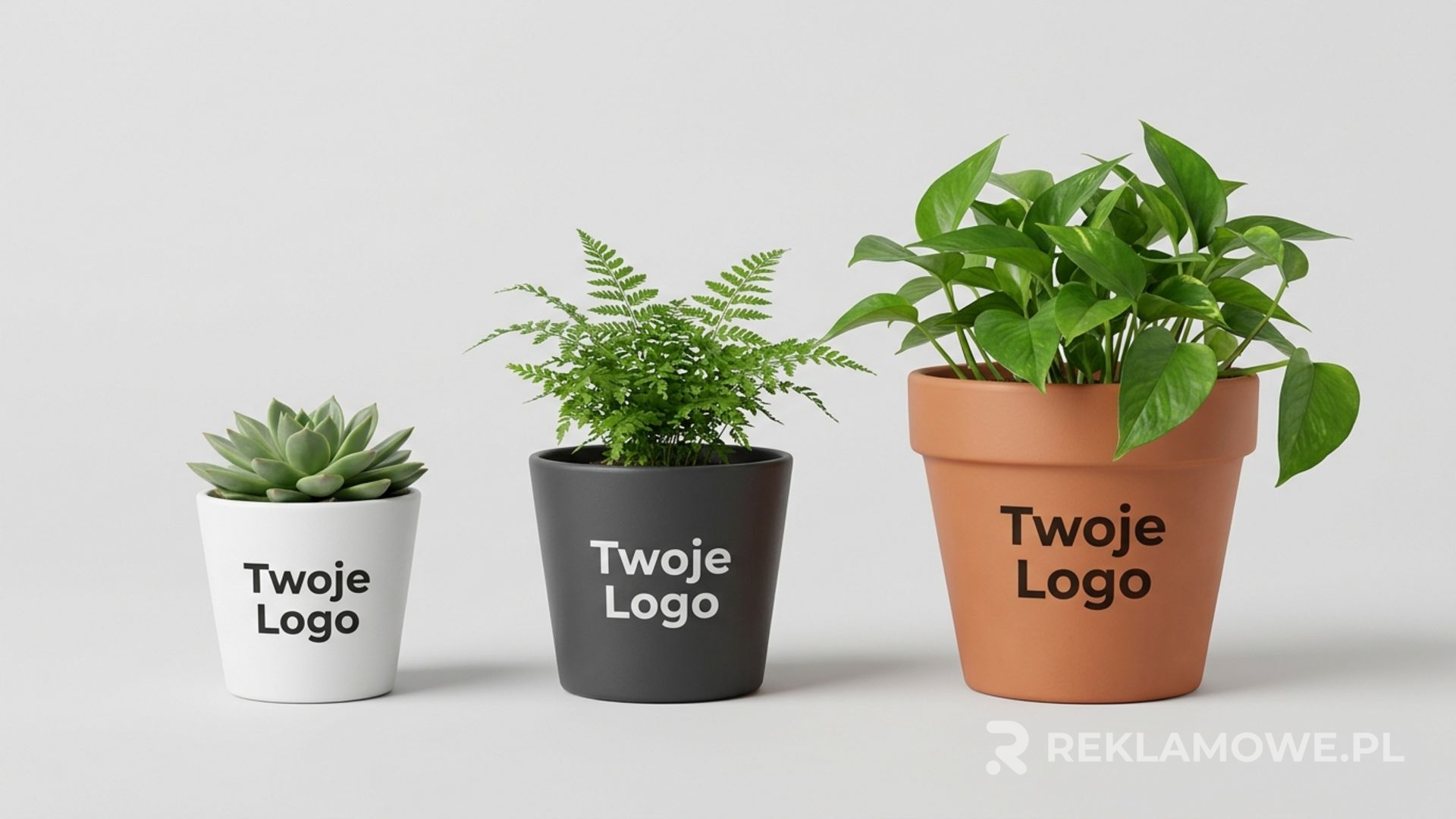Historia doniczek reklamowych wykorzystywanych w promocjach biznesowych