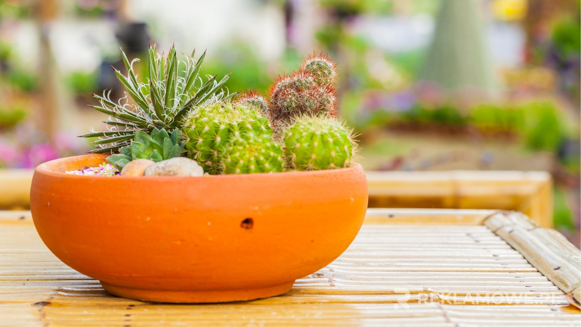 Firmy odnoszące sukces dzięki inwestycji w doniczki reklamowe