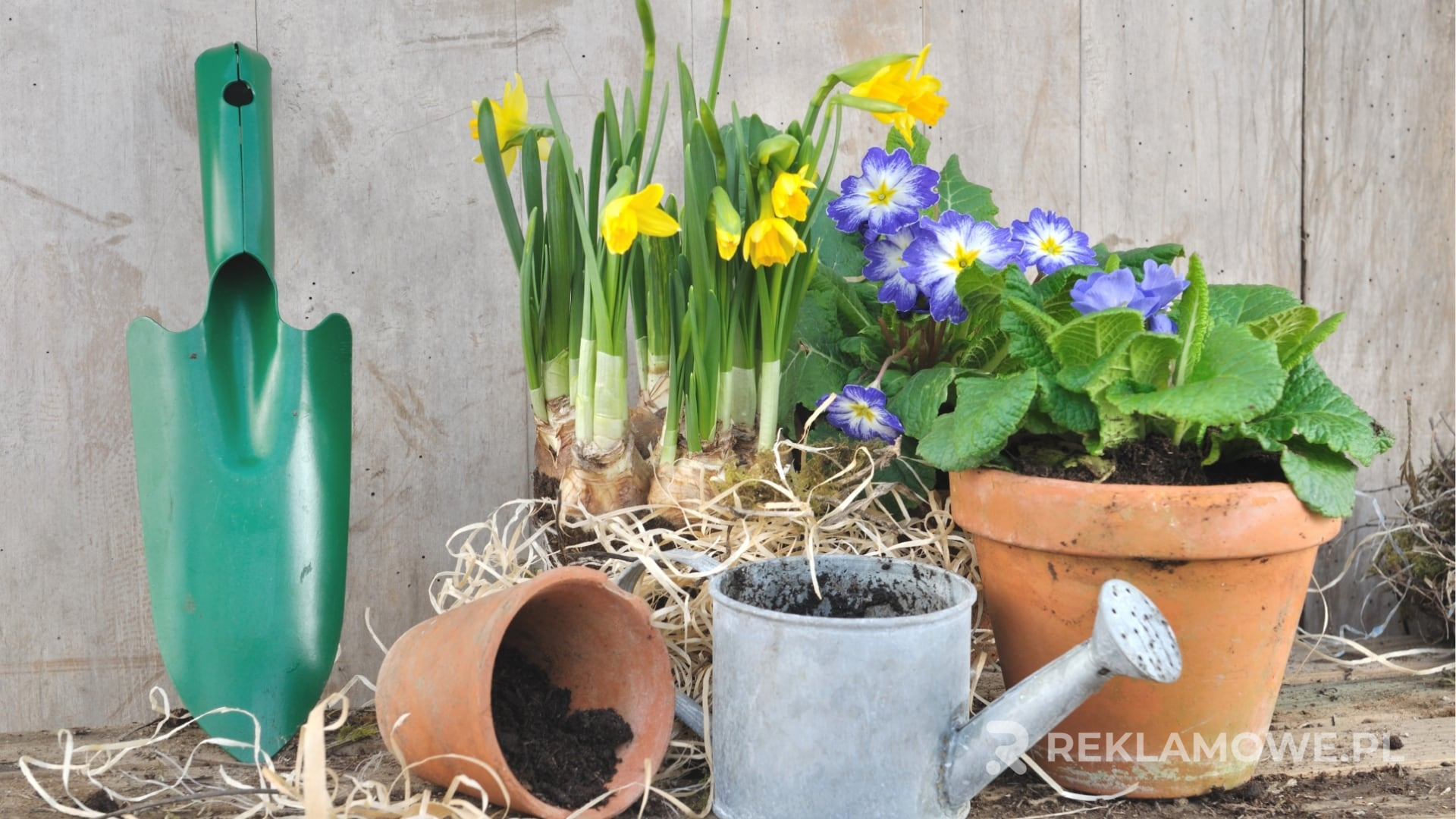 Doniczki reklamowe z logo firmy