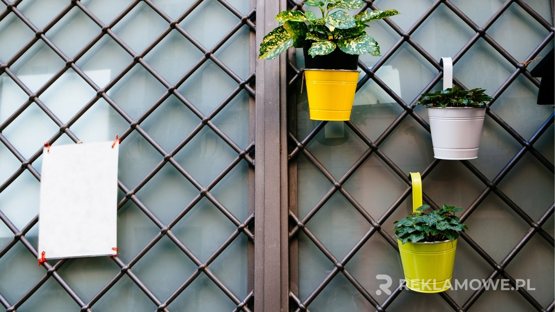 Doniczki reklamowe w strategii marketingowej