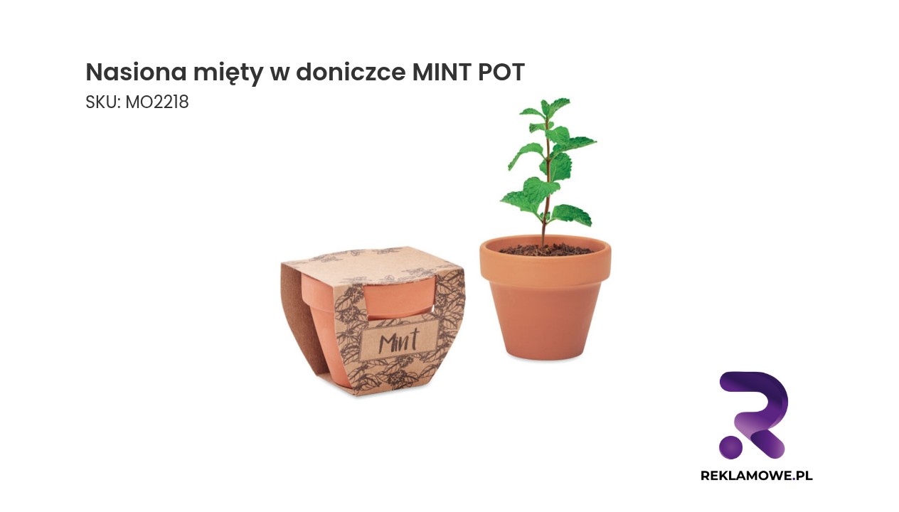 Nasiona mięty w doniczce MINT POT – zestaw do uprawy świeżej mięty w domu
