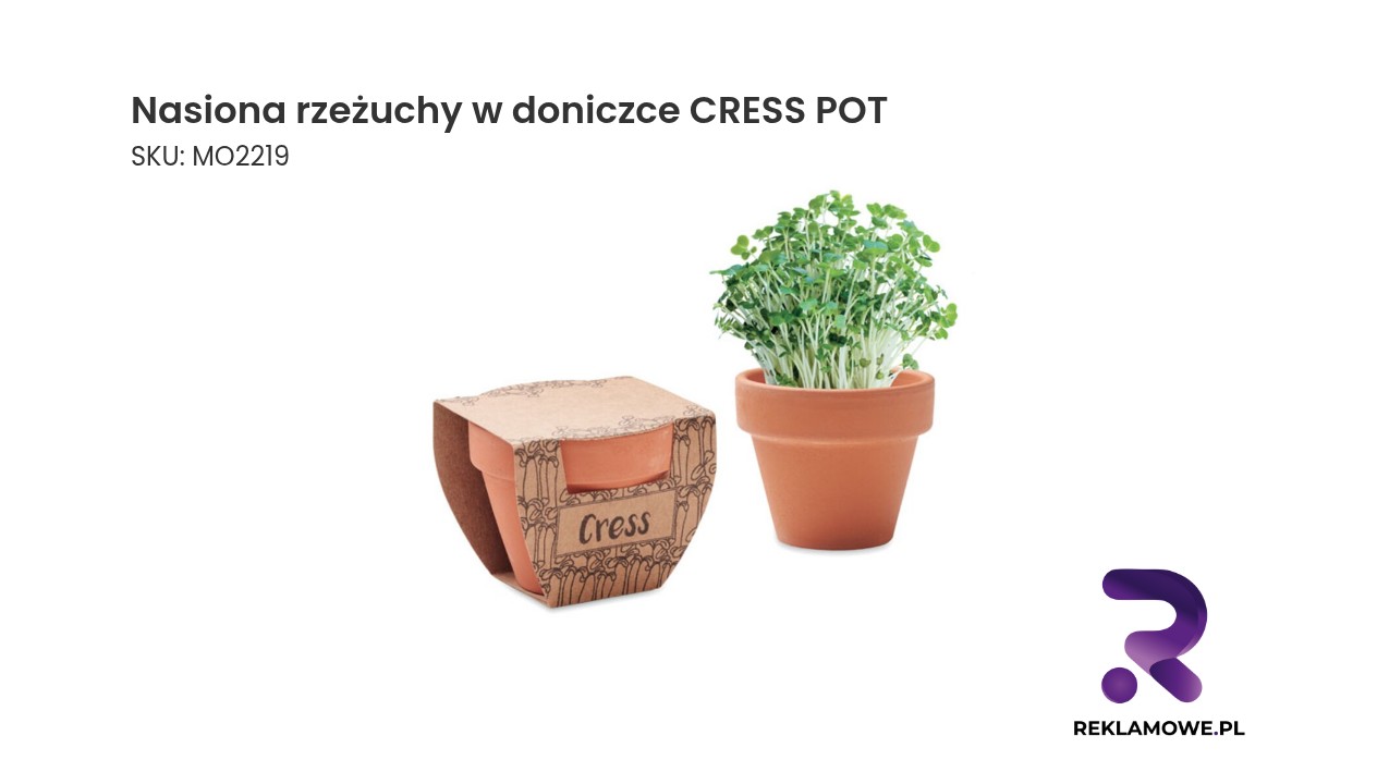 Nasiona rzeżuchy w doniczce Cress Pot