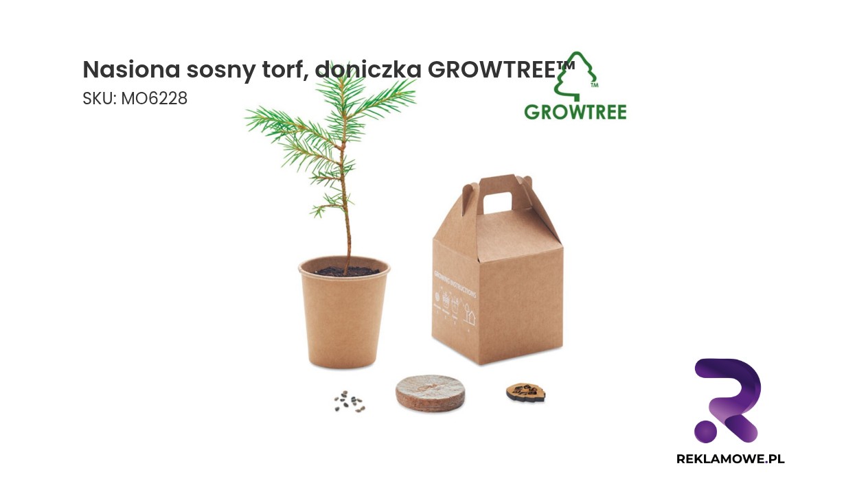 Nasiona sosny, torf, doniczka GROWTREE™ Nasiona sosny w torfie z doniczką GROWTREE