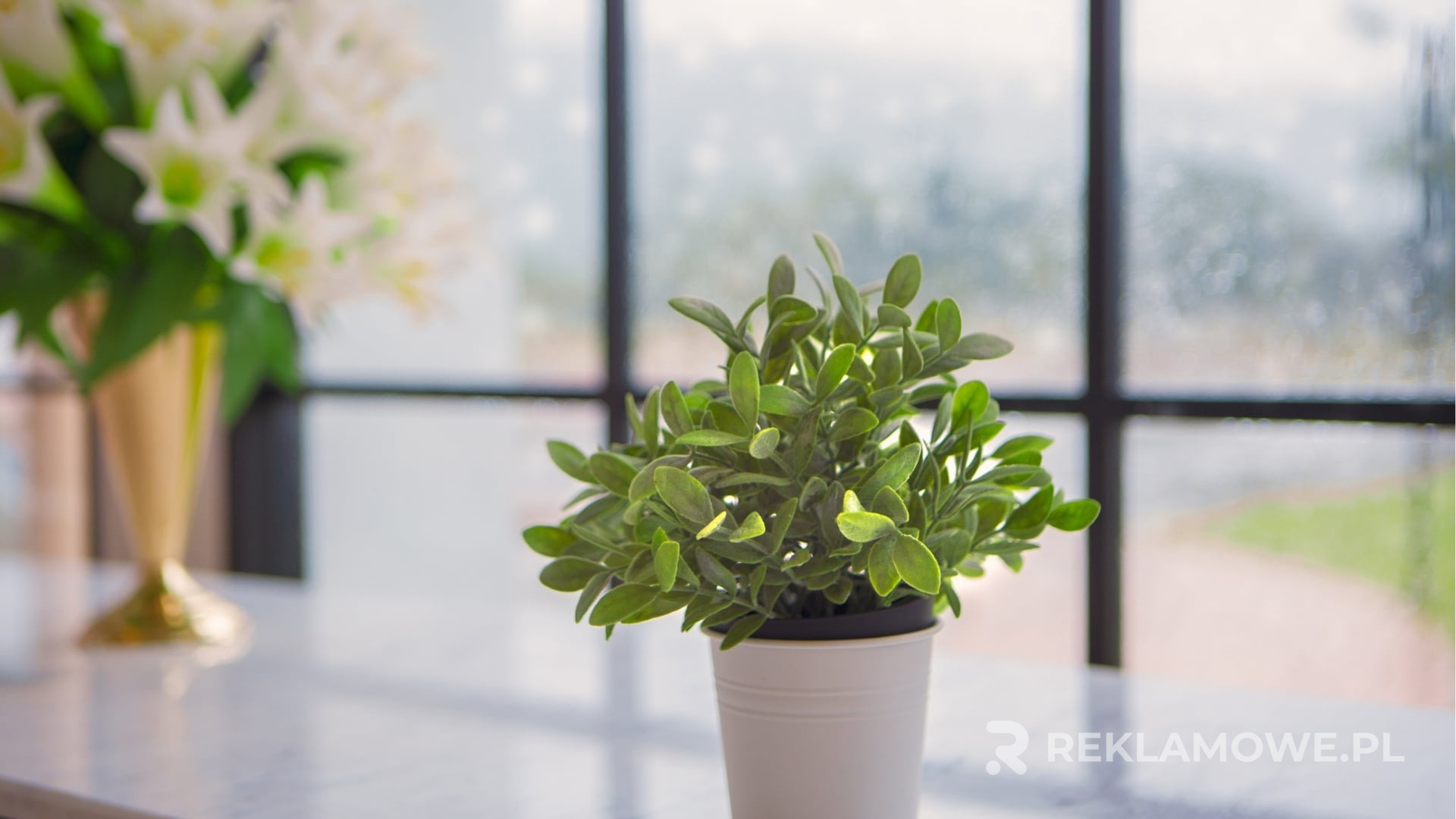 Kreatywnie zaprojektowana doniczka reklamowa