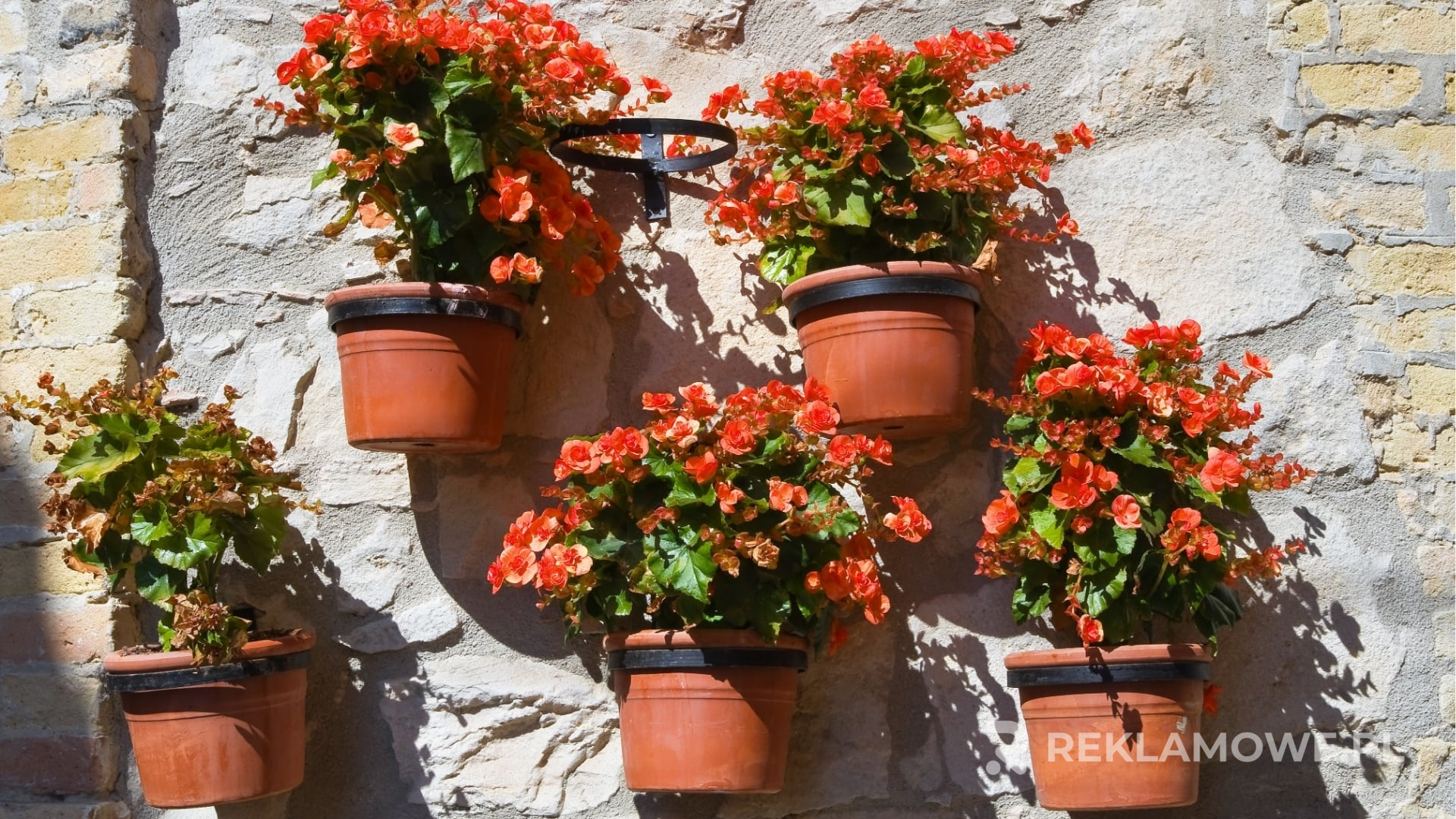 Promocje sezonowe na doniczki reklamowe i sposoby ich wykorzystania w marketingu