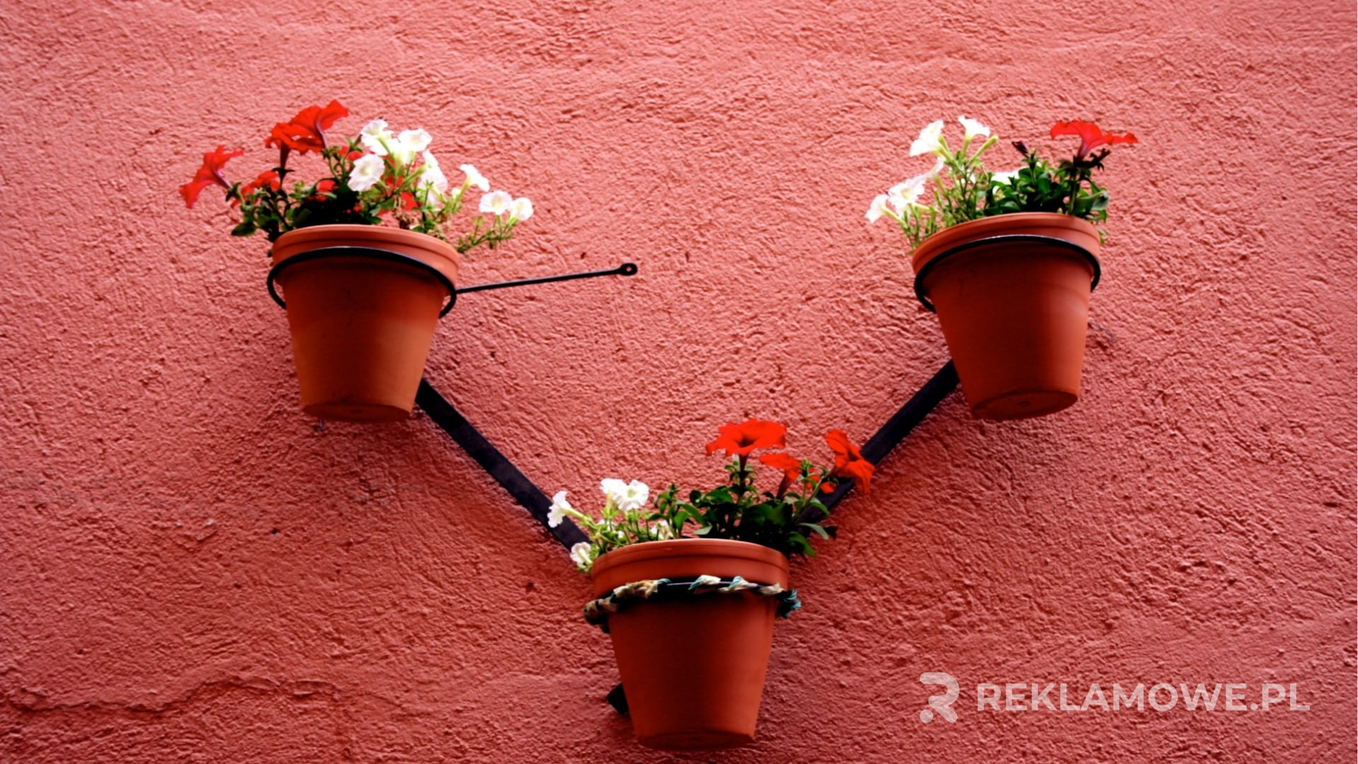 Logo firmy na doniczkach reklamowych