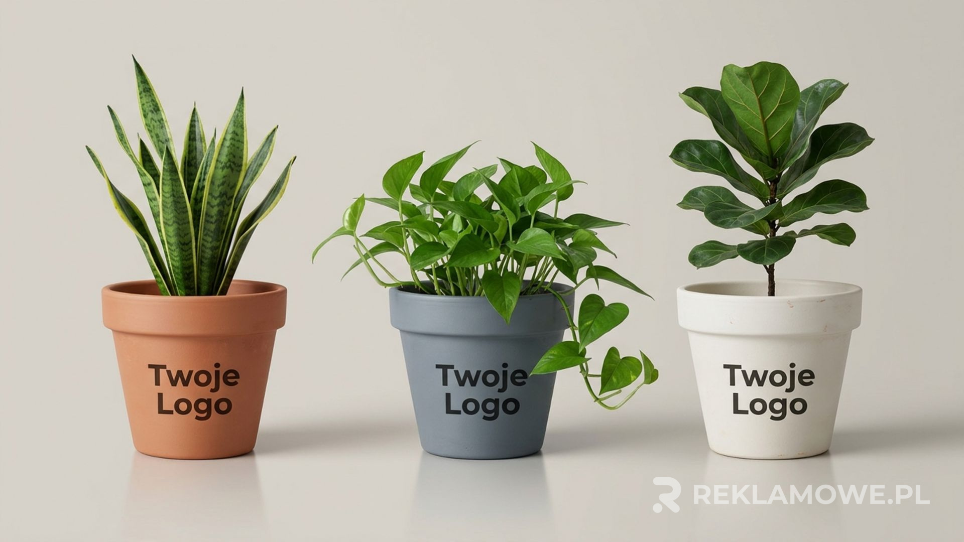 Tanie doniczki reklamowe bez utraty jakości