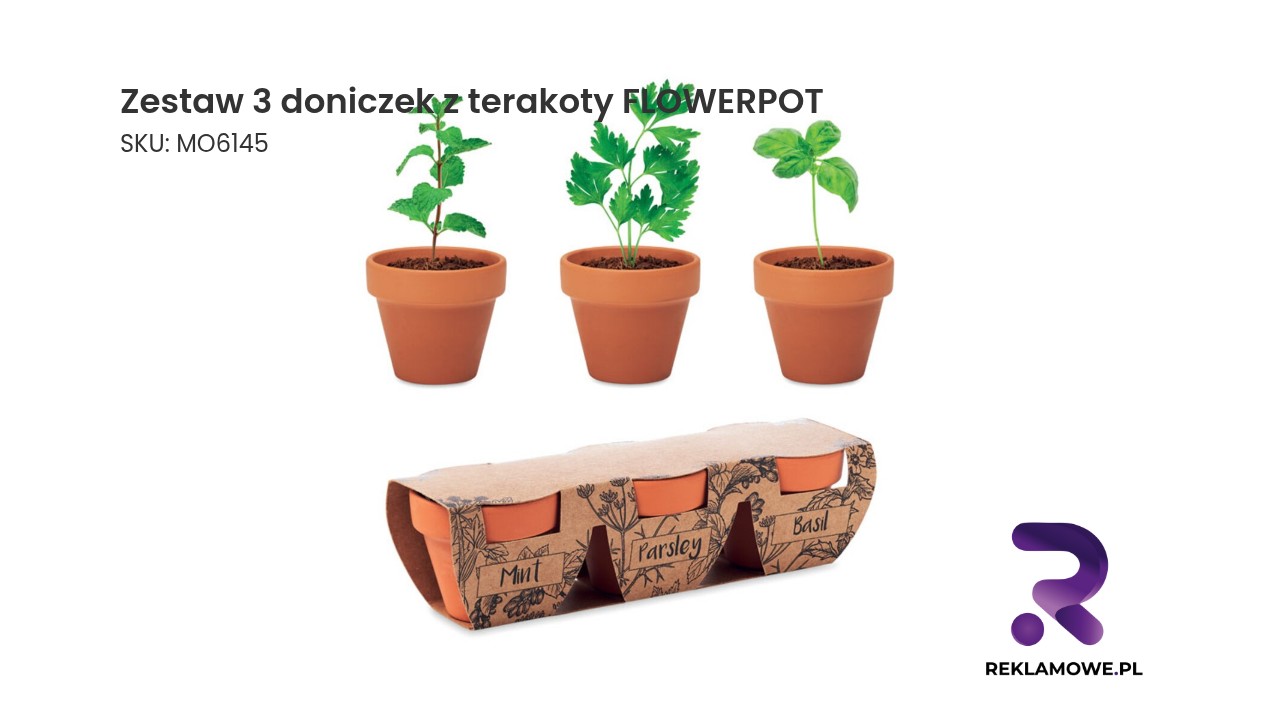 Zestaw 3 doniczek z terakoty FLOWERPOT Zestaw 3 doniczek z terakoty FLOWERPOT – komplet dekoracyjnych doniczek do domu i ogrodu