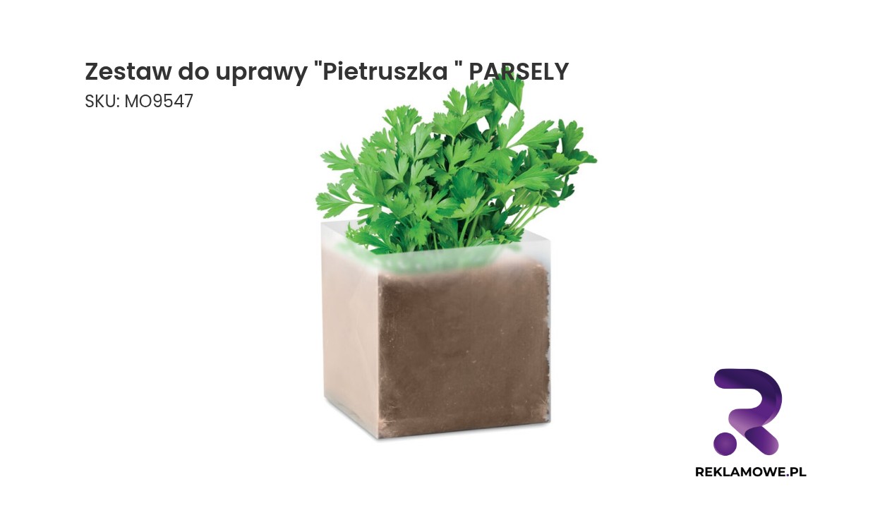 Ekologiczny zestaw do uprawy pietruszki w domu