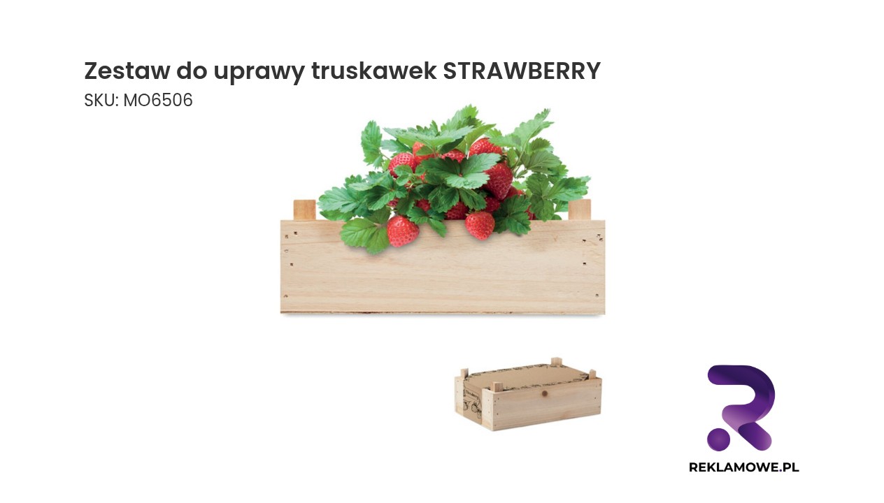 Zestaw do uprawy truskawek STRAWBERRY – komplet do domowej uprawy truskawek