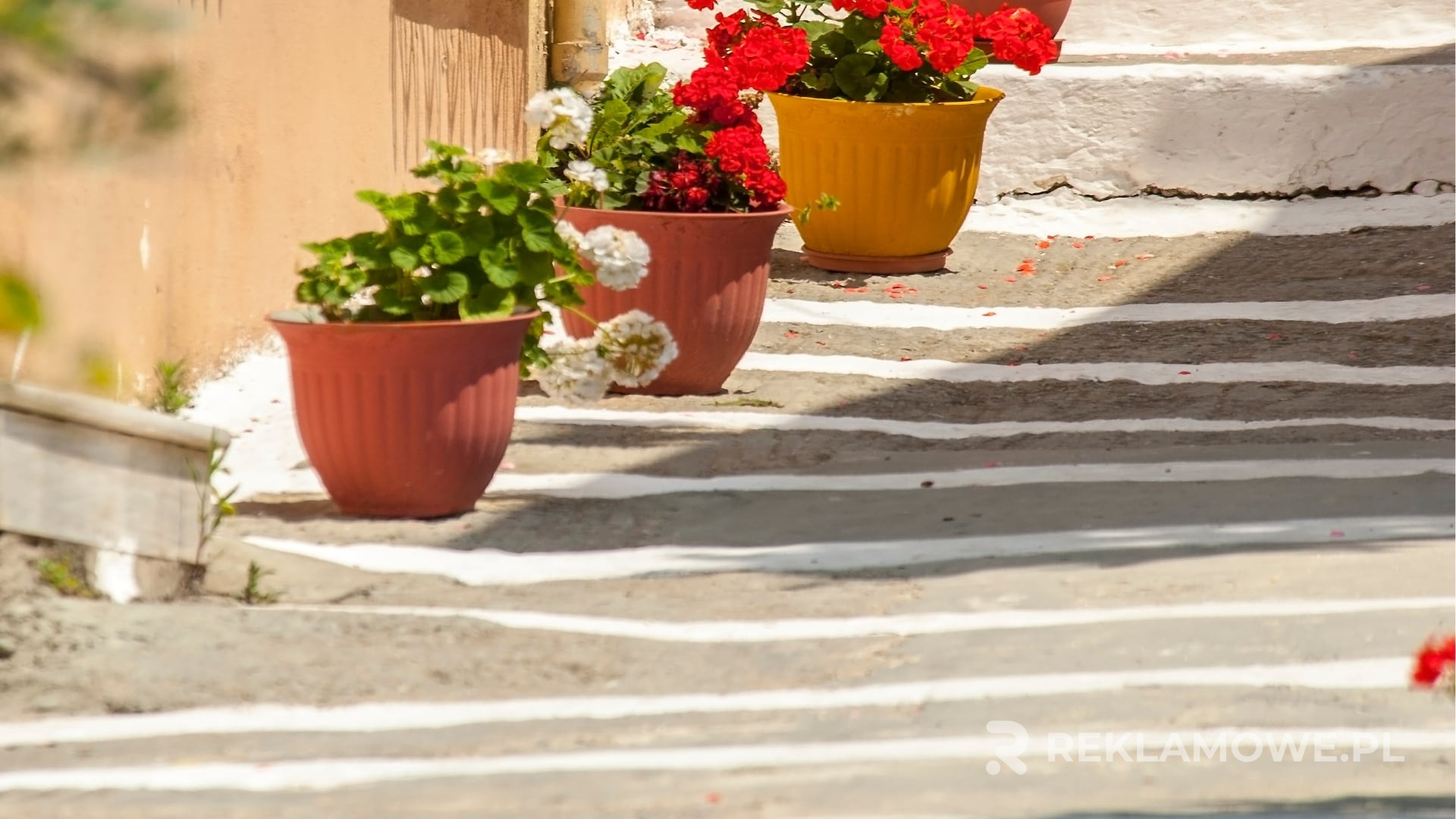 Zrównoważone doniczki reklamowe w procesie produkcji